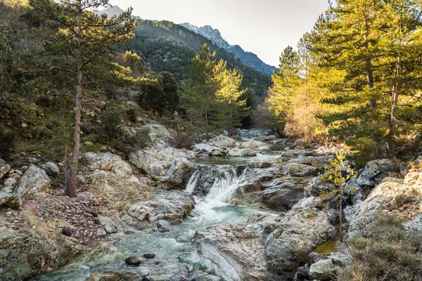 Fiume Tartagine nella regione della Balagna in Corsica — Foto Stock