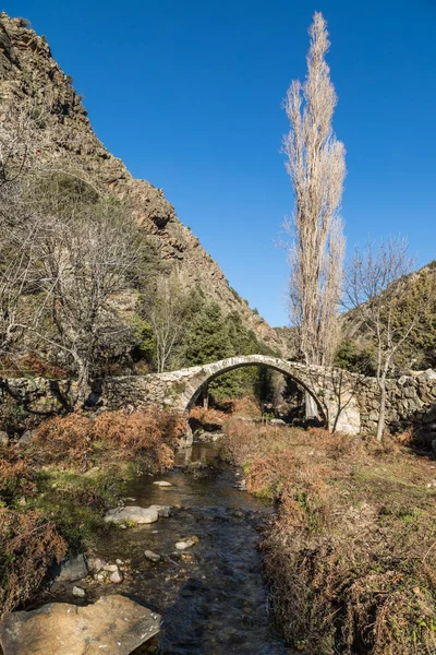 Gamla genuanska bron i dalen Tartagine i Korsika — Stockfoto