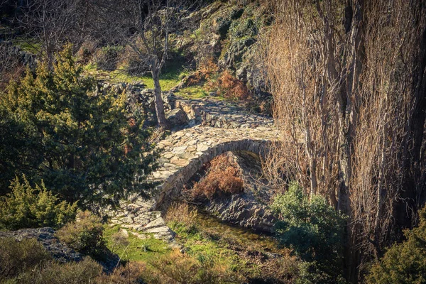 Vecchio ponte genovese nella valle della Tartagine in Corsica — Foto Stock