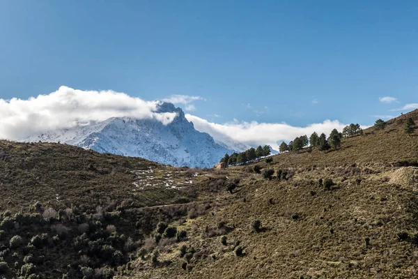 Monte Padru Corsica'deki / daki kar küçük kulübe ve köknar ağaçlarıyla kaplı