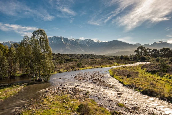 Ruscello poco profondo in Corsica con montagne innevate in lontananza — Foto Stock