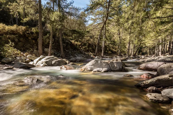 Tartagine Fluss fließt über bunte Kieselsteine in Korsika — Stockfoto
