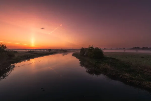 Dos gansos volando sobre un río brumoso Nene al amanecer —  Fotos de Stock