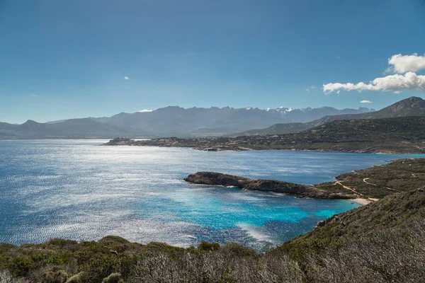 Blick auf Calvi Zitadelle und Berge von revellata in Korsika — Stockfoto