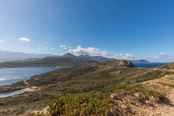 Näkymä länsirannikolle ja Korsikan vuorille — kuvapankkivalokuva
