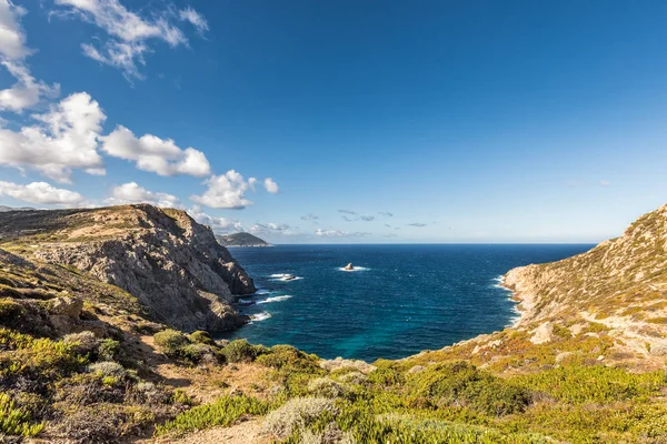 Costa rocciosa della costa occidentale della Corsica a Revellata vicino a Calvi — Foto Stock