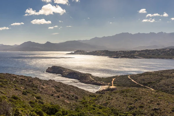 Näkymä Calvi linnoitus ja vuoret Revellata Korsikalla — kuvapankkivalokuva
