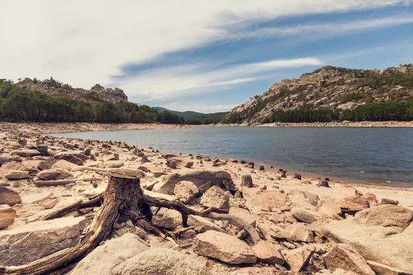 Vecchio tronco d'albero al Lac de l'Ospedale in Corsica — Foto Stock