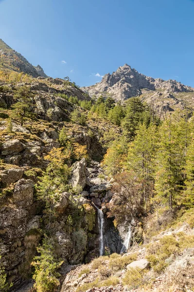 Waterfall amongst pine trees at Paglia Orba in Corsica — Stock Photo, Image