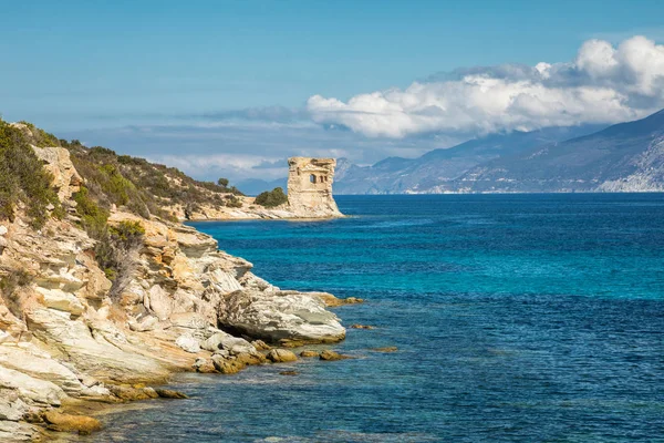 Torre genovese a Mortella vicino a St Florent in Corsica — Foto Stock