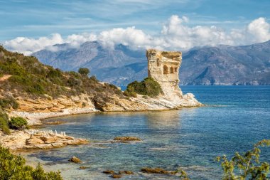 Corsica'deki / daki St Florent yakınındaki Mortella, Ceneviz Kulesi