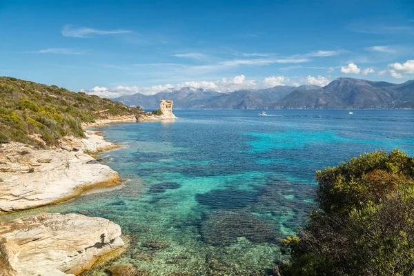 Corsica'deki / daki St Florent yakınındaki Mortella, Ceneviz Kulesi — Stok fotoğraf