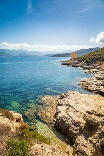 Corsica'deki / daki St Florent yakınındaki Mortella, Ceneviz Kulesi — Stok fotoğraf