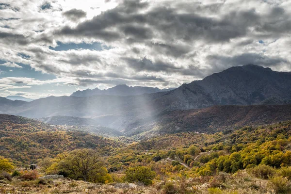 Solen strålar beasming på hösten skogsmark i dalen i Korsika — Stockfoto