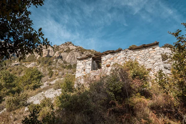 Braakliggende stenen buiding in Bergen in de buurt van Venaco in Corsica — Stockfoto