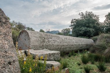 1. Napolyon için 1837 'de kesilmiş taş sütun.
