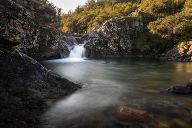Korsika 'daki dağ deresi doğal havuza akıyor.