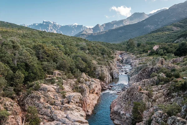 Ποταμός Fango στην Κορσική και στο βουνό Paglia Orba — Φωτογραφία Αρχείου