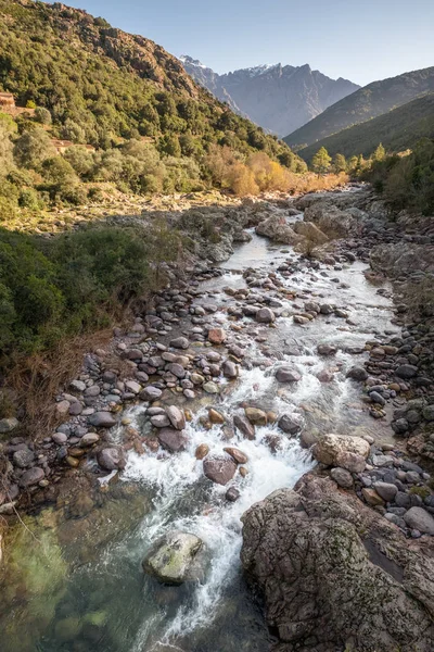 Rio Fango em Manso, na Córsega — Fotografia de Stock