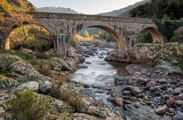 Puente sobre el río Fango en Manso en Córcega — Foto de Stock