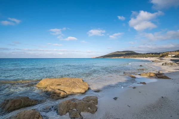 Plage de sable blanc de Ghjunchitu en Corse — Photo