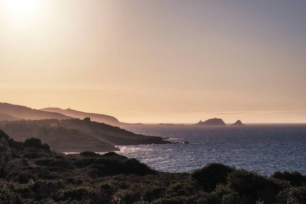 Abendsonne Der Zerklüfteten Küste Korsikas Mit Der Ile Rousse Der — Stockfoto
