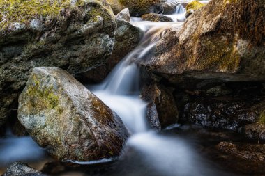 Korsika dağlarındaki bir ormandaki büyük kayaların arasından akan temiz dağ deresi.