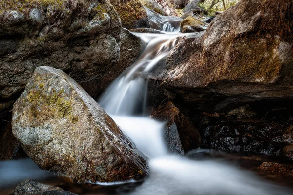 Čistý Horský Potok Tekoucí Mezi Velkými Balvany Lese Korsice — Stock fotografie