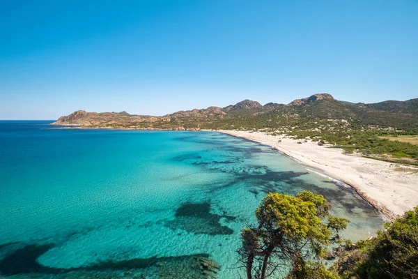 Przezroczyste Turkusowe Morze Morza Śródziemnego Okrążające Prawie Opuszczoną Plażę Ostriconi — Zdjęcie stockowe