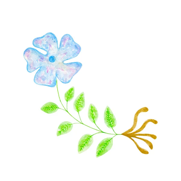 Перивинкл Твоего Отпечатка Акварель Голубой Цветок Зеленым Листом Корнем — стоковое фото