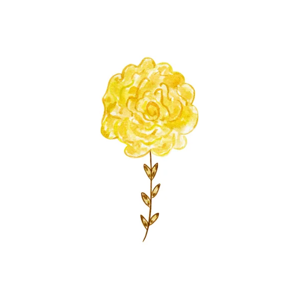 Акварельная Роза Весенняя Карта Цветов Фон — стоковое фото