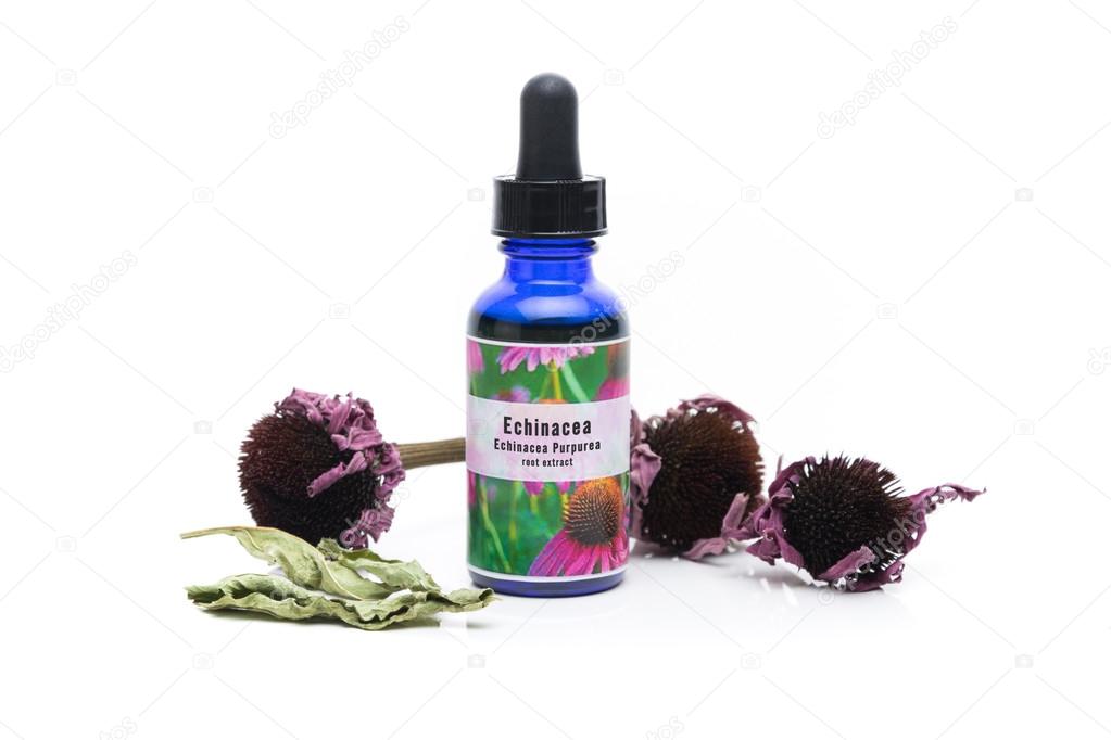 Echinacea herbal medicine tincture, homemade