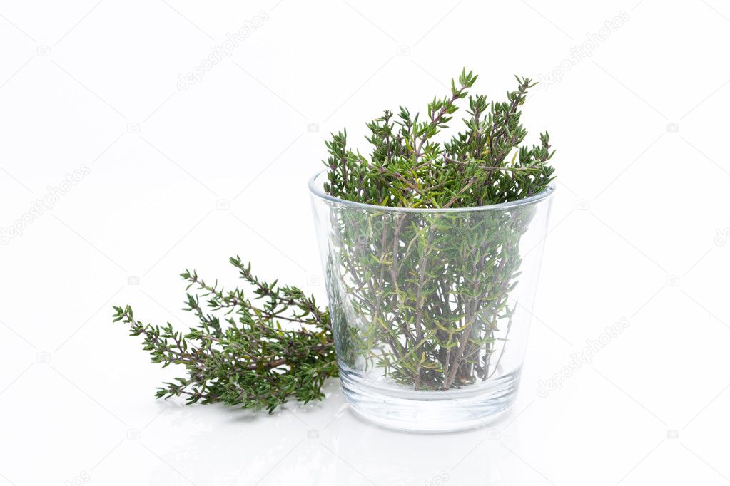 thyme in a glass on white background