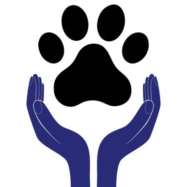 Animal dog paw in people hand, human help encourage vector illustratration. clipart