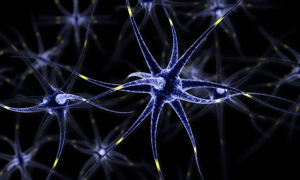 Red neuronal, Células cerebrales, Sistema nervioso humano, Neuronas 3d ilustración —  Fotos de Stock