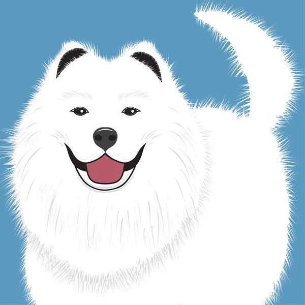 Perro samoyed, amigo cachorro vector — Vector de stock