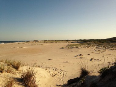 Beach during the Summer