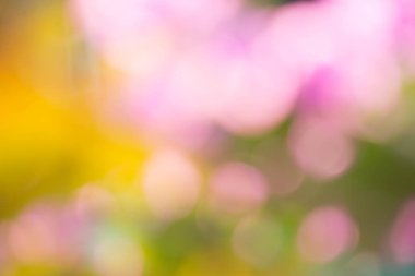 Bahar taze yeşil, sarı, pembe bokeh bulanık arkaplan. Doğal, güneşli bulanık..