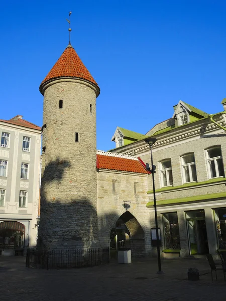 La Torre de la Puerta de Viru en Tallin — Foto de Stock