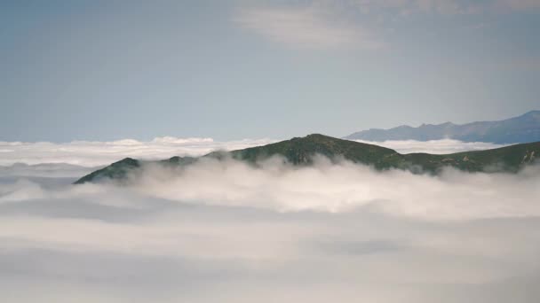 Film 76804320 30P Zalesione Wzgórze Otoczone Morzem Chmur Patrząc Chmury — Wideo stockowe