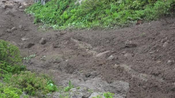 Lama Deslizamento Terra Flui Pelo Vale Pedra Rocha Solo Misturado — Vídeo de Stock