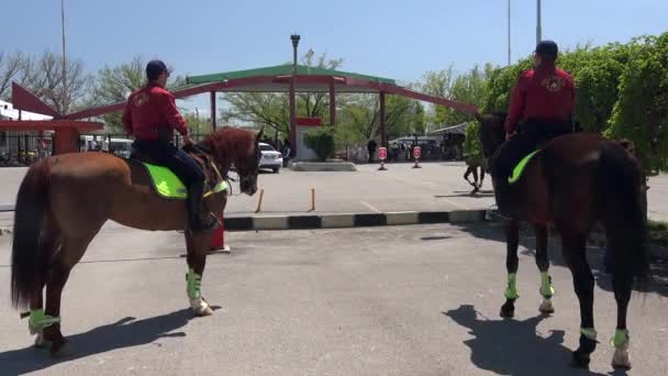 Policajti Koních Hlídkují Koních Jejich Každodenní Funkce Typicky Malebná Nebo — Stock video