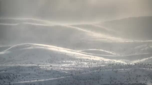 电影8K 7680X4320 30P Hdr 地面暴风雪是一种天气状况 地面上的浮冰被强风吹起 强烈的暴风雪 陆地气候中的雪地 — 图库视频影像