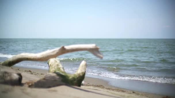 Романтическая Женщина Гуляет Пляжу Красочной Длинной Юбкой Качающейся Ветровом Платье — стоковое видео