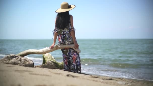 独坐的浪漫女子正在海滩上观看翻倒的干枯树干上的海景 戴帽子的女孩看风景 身穿五颜六色长裙裙的女性 独自感情用事的女人看风景看童话海洋沙地 — 图库视频影像