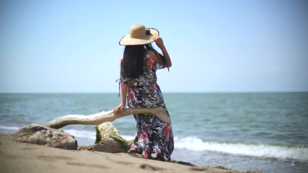 Romantic Woman Sitting Alone Watching Sea View Overturned Dry Tree — Stock Video