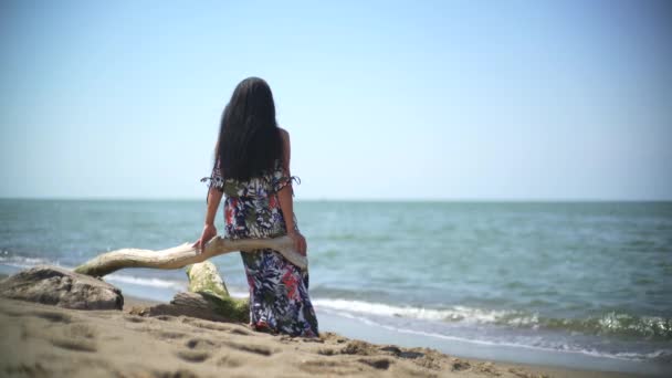 Mulher Romântica Sentada Sozinha Está Observando Vista Mar Tronco Árvore — Vídeo de Stock