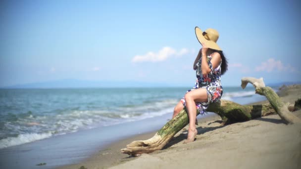 Romantic Woman Sitting Alone Watching Sea View Overturned Dry Tree — Stock Video