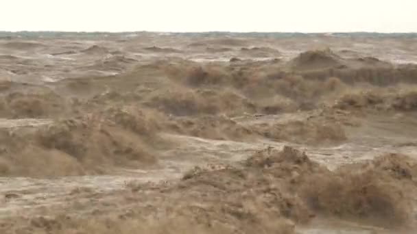 Bruine Modderige Zee Golven Overstromingswater Bereikt Zee Creëert Een Sterke — Stockvideo