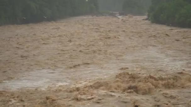 Szybko Płynąca Szalona Rzeka Gleba Błoto Schodzą Dół Silnym Deszczu — Wideo stockowe